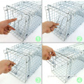 Collapsible Squirrel Trap Cage Animal Large Cage Catcher Cold galvanized Catch Factory